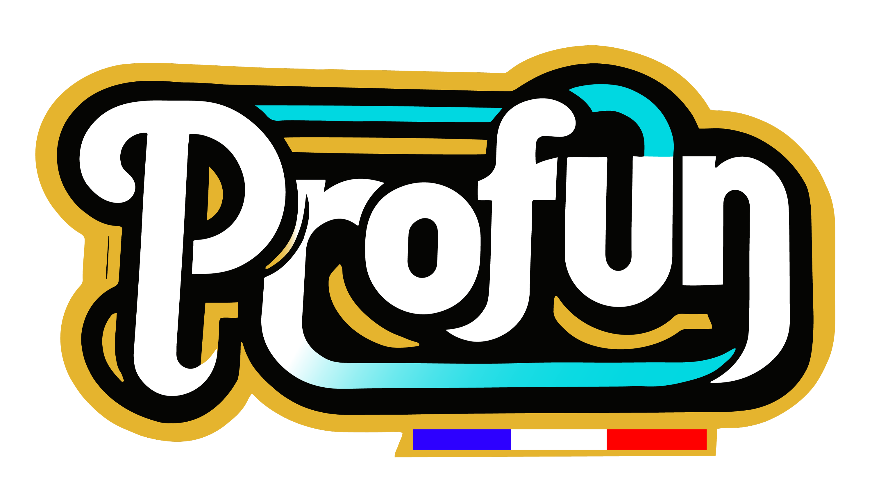 Logo ProFun - Anesag